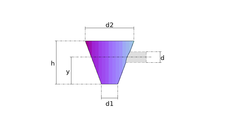 Cone with Branch Hole